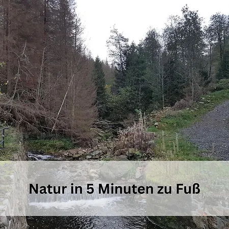 Lejlighed Berg-domizil Inklusive Bettwaesche Und Handtuechern *