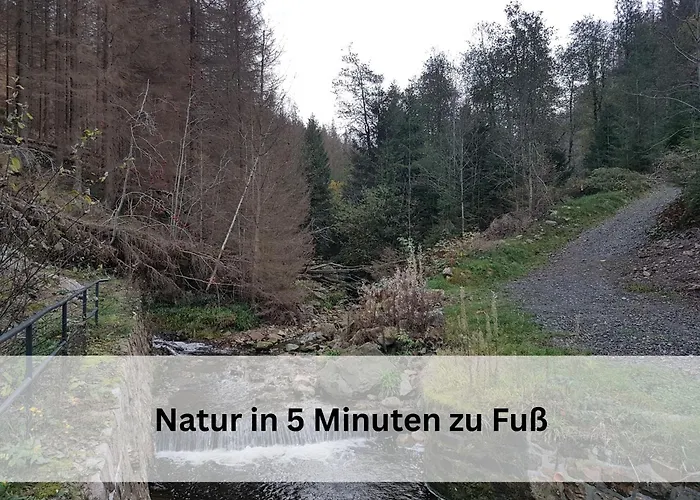 Appartement Berg-domizil Inklusive Bettwaesche Und Handtuechern, Nur 3 Minuten Von Der Kristall Therme Entfernt *